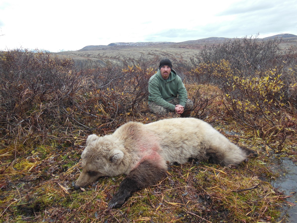 Bear Hunting by Nathan Bay