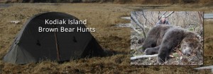 alaska-kodiak-island-bear-hunts